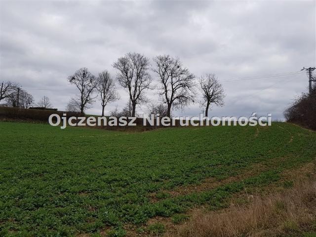 Działka 3500 m² pod zabudowę blisko jeziora Saleńskiego