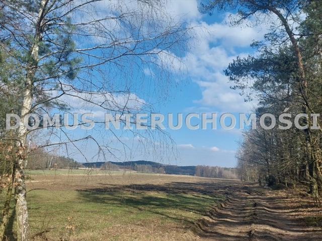Działka 3511 m² z lasem i MPZP pod zabudowę zagrodową
