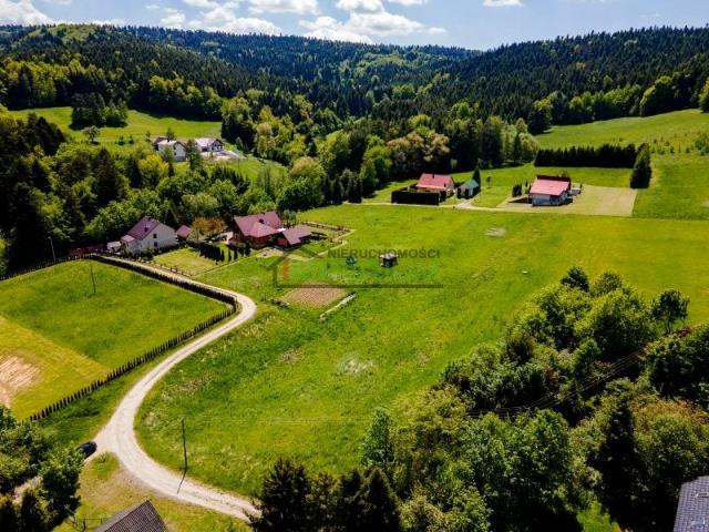 Działka 3 500 m², Chełmiec