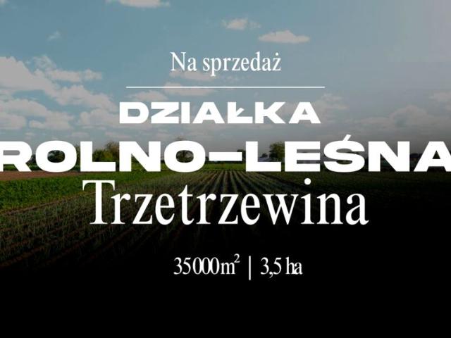 Działka 35 000 m², Trzetrzewina