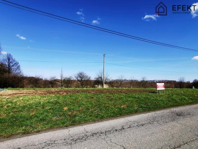 Działka 3643 m² z mediami i MPZP w Regulice