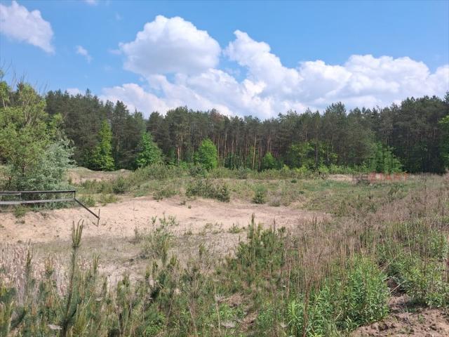 Działka 3684 m² z lasem i rzeką w Świętochowie