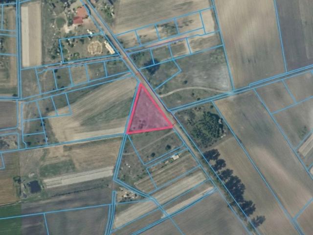 Działka 3700 m² z domem i potencjałem inwestycyjnym