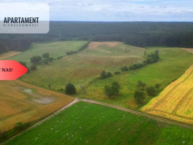 Działka 37 610 m², Opalenie