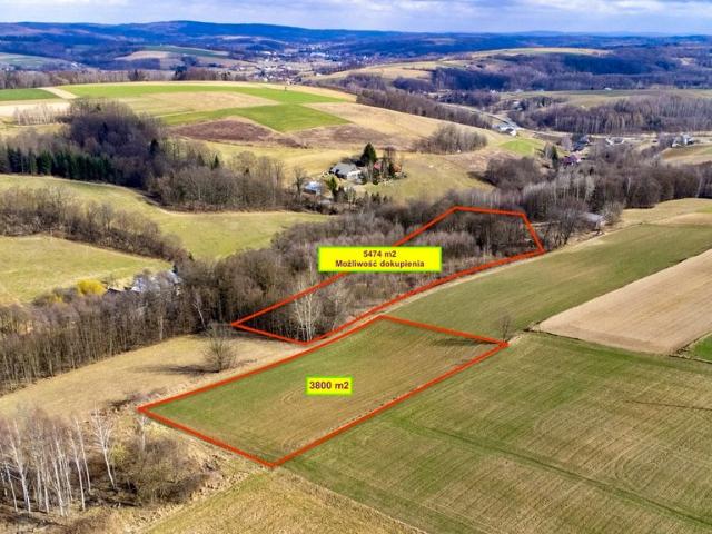 Działka 3800m² z WZ, dostęp do drogi, cisza i spokój