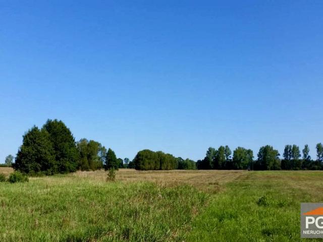 Działka 38 300 m², Świerzno