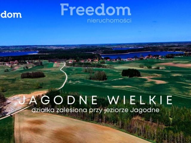 Działka 38 600 m², Jagodne Wielkie