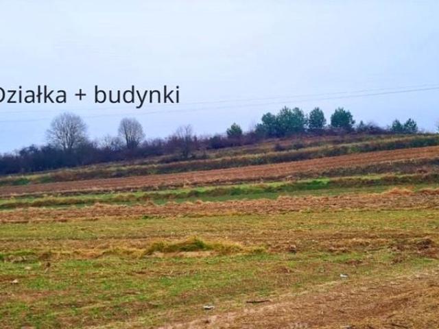 Działka 38 800 m², Wysokie