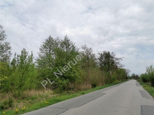Działka 39 335 m², Kłudno Nowe