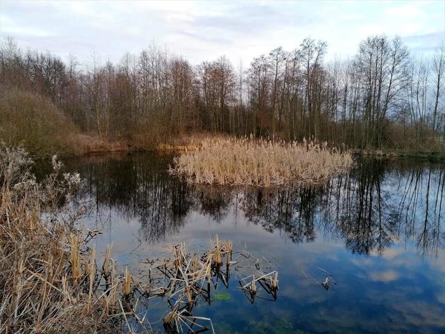 Działka 3000 m2 z widokiem na las, dostęp do drogi