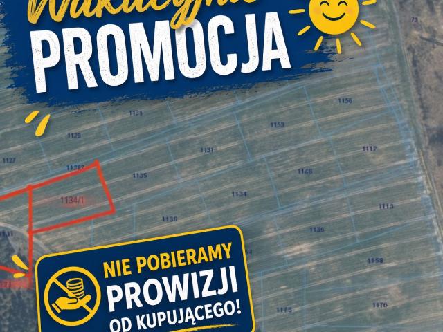 Działka 3000 m² w Niemierzu zapraszam