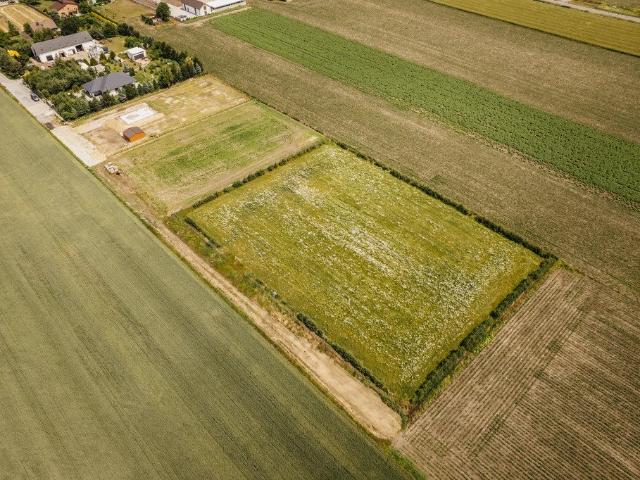 Działka 3000 m² pod zabudowę, blisko Kalisza