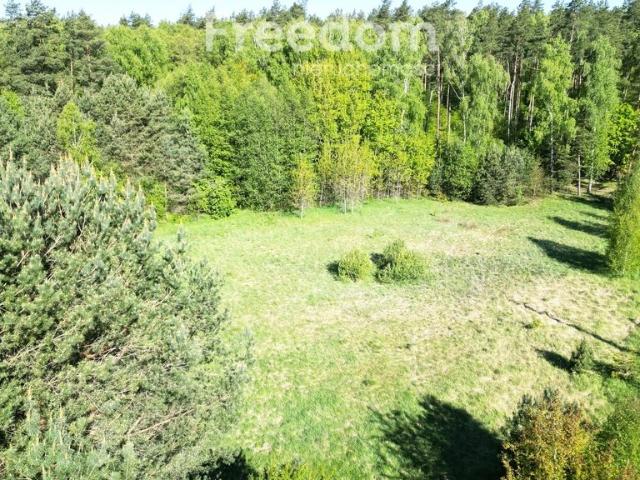 Działka 3000 m² z mediami i dostępem do lasu