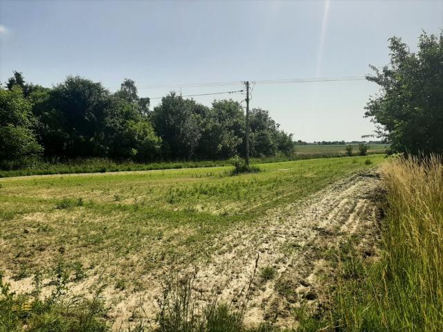 Działka 3000 m² z mediami, pierwsza linia od szosy