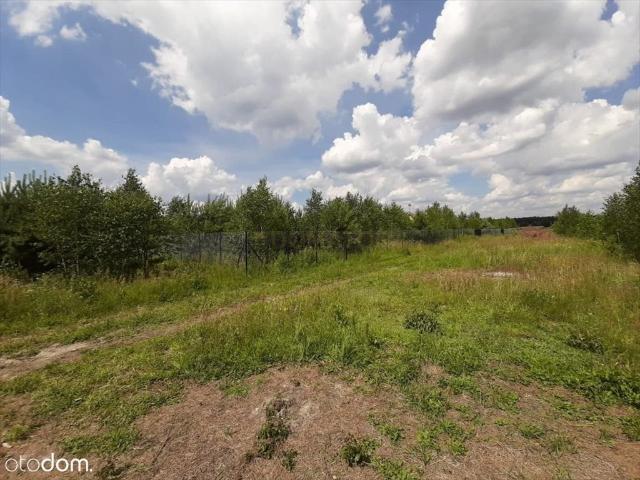 Działka 3000 m² z możliwością podziału i trzema domami