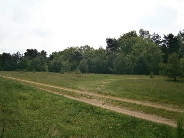 Działka 3000 m² z możliwością podziału, otoczona naturą
