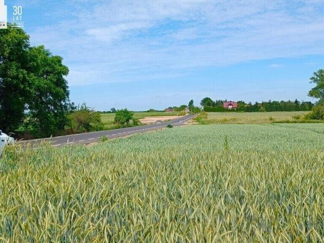 Działka 3000 m² z WZ, prąd, asfalt, blisko natury