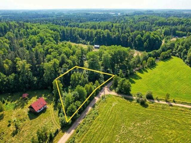 Działka 3000 m² z WZ przy lesie Jelonek, Mazury