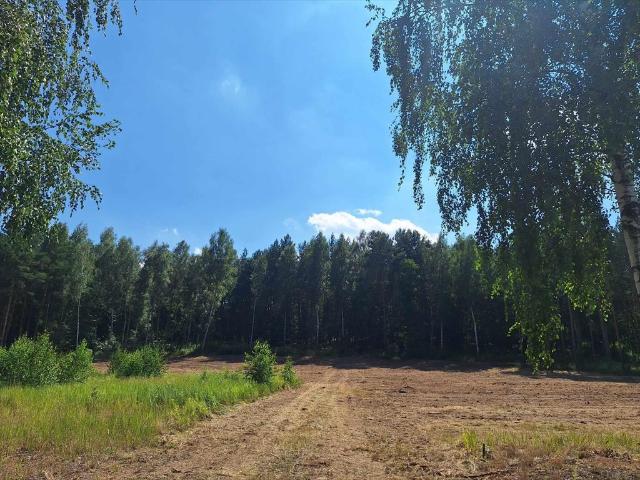 Działka 3000 m² pod dom w otoczeniu lasu, spokojna okolica