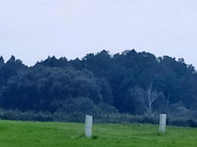 Działka 3000m2 tylko 50000zł