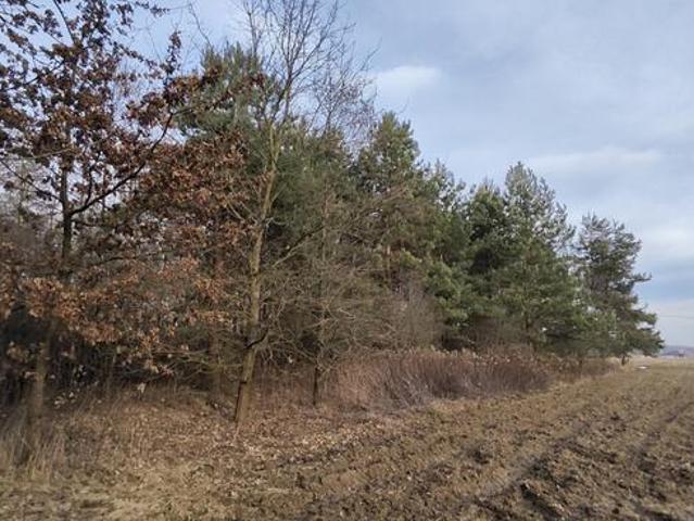 Działka 3000m2 Wielopole, gm. Olesno
