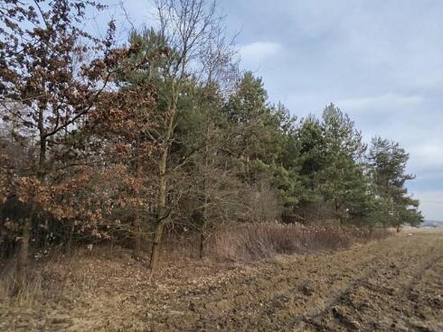 Działka 3000m2 Wielopole, gm. Olesno