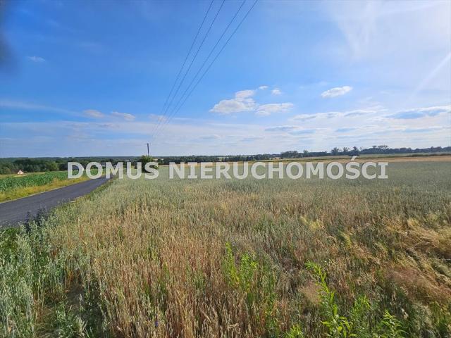 Działka 3000m² z widokiem, media, potencjał!