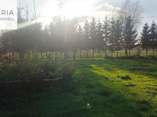 Działka 3003 m² z mediami, spokojna okolica, Janowo