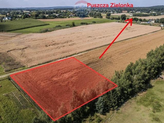 Działka 3007 m² w Kicinie – idealna pod dom jednorodzinny
