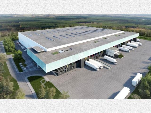 Działka 294 000 m², Słomczyn