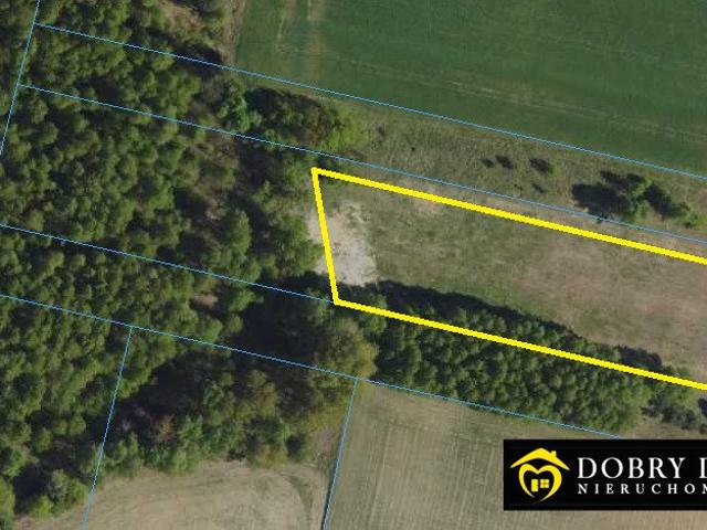 Działka 3019 m² w Kosmatym Borku – spokój i natura