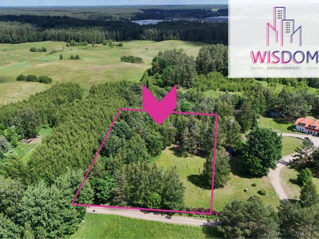 Działka 3048 m² z lasem, prąd, blisko Olsztyna polecam