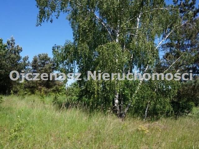 Działka 3048 m² z warunkami zabudowy, prąd i woda