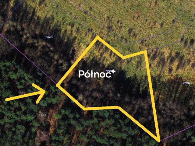 Działka 3093 m² pod dom w zielonej okolicy Radomska