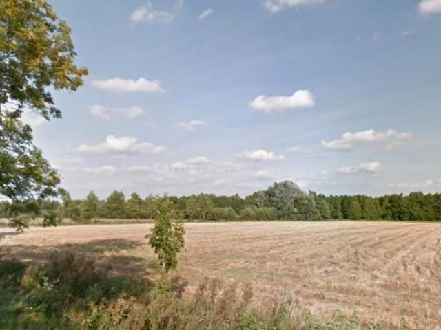 Działka 30 000 m², Dopiewo