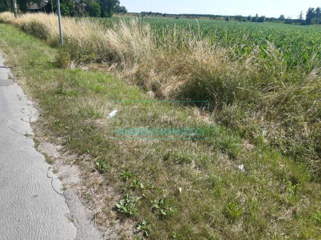 Działka 30 000 m², Grodzisk Mazowiecki