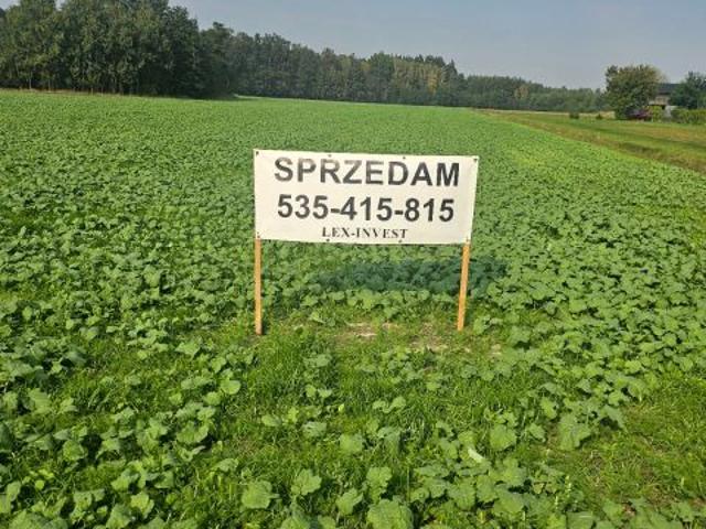 Działka 30 000 m², Zgniłe Błoto