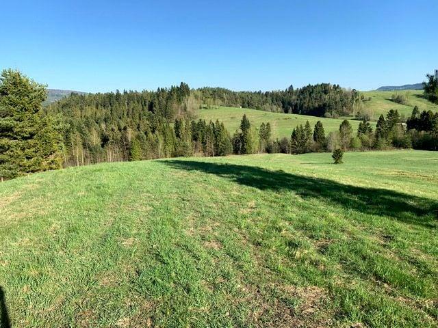 Działka 30 143 m², Czarna Dolna