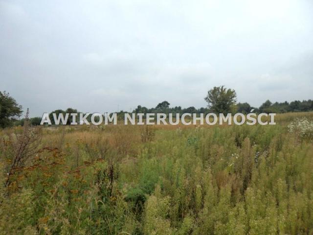 Działka 30 335 m², Pieńki Słubickie