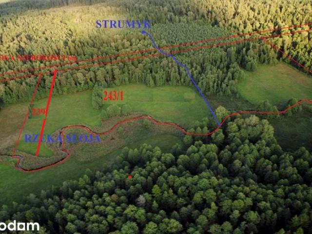 Działka 30 500 m², Lipowy Most