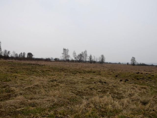 Działka 30 647 m², Redkowice