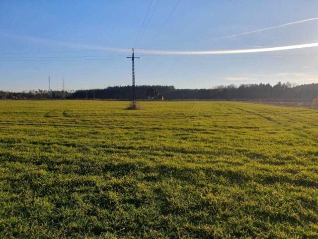 Działka 30 660 m², Rogalice