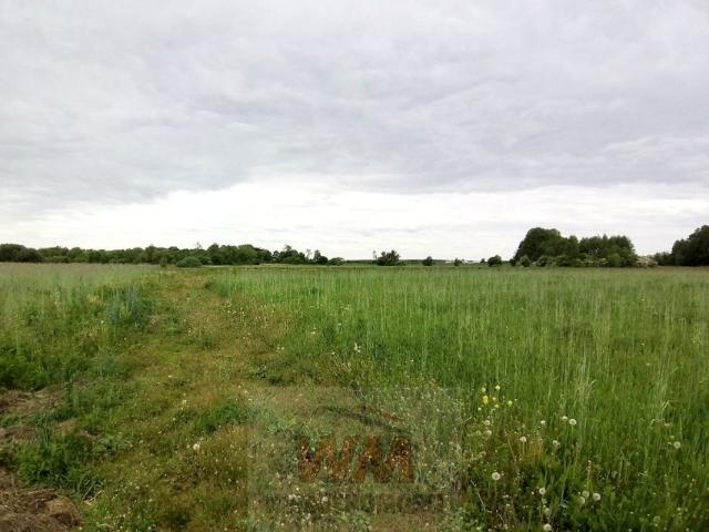 Działka 30 900 m², Jasieniec