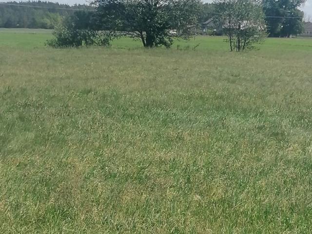 Działka 3100 m² pod dom lub inwestycję w Karolinowie