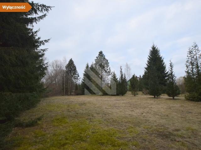 Działka 3149 m2 z warunkami zabudowy, budynek gospodarczy