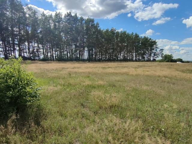 Działka 3182 m2 przy lesie, blisko Szczecina i jeziora