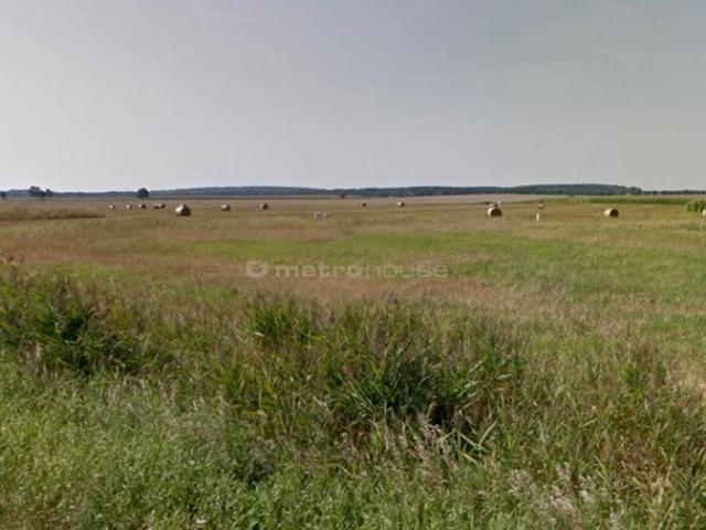 Działka 31 000 m², Trzcielin