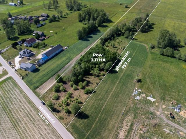 Działka 31 100 m² z warunkami zabudowy i lasem