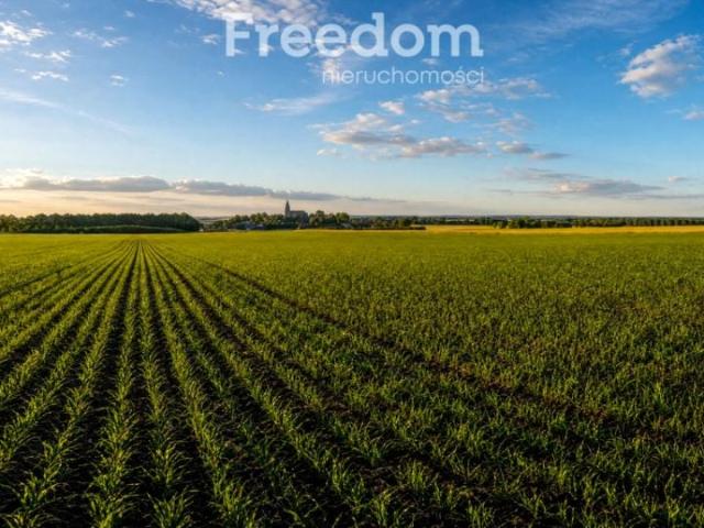 Działka 31 200 m², Pogorzela