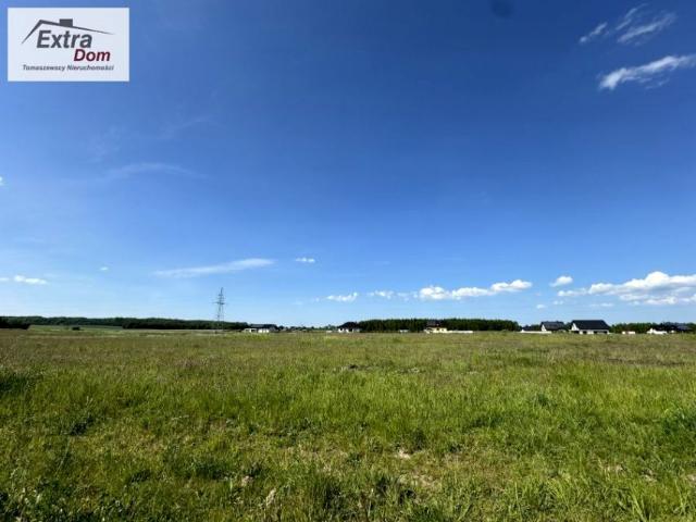 Działka 31 500 m², Zaleszczyce